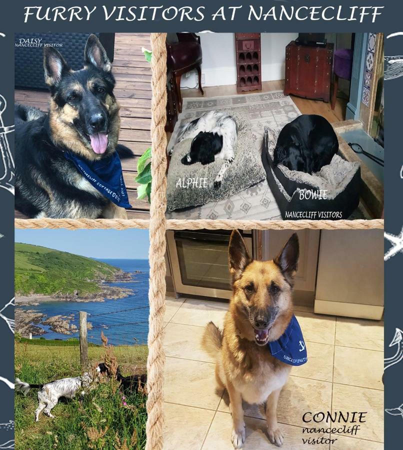Dog Friendly Nancecliff Cottages Looe Exterior photo